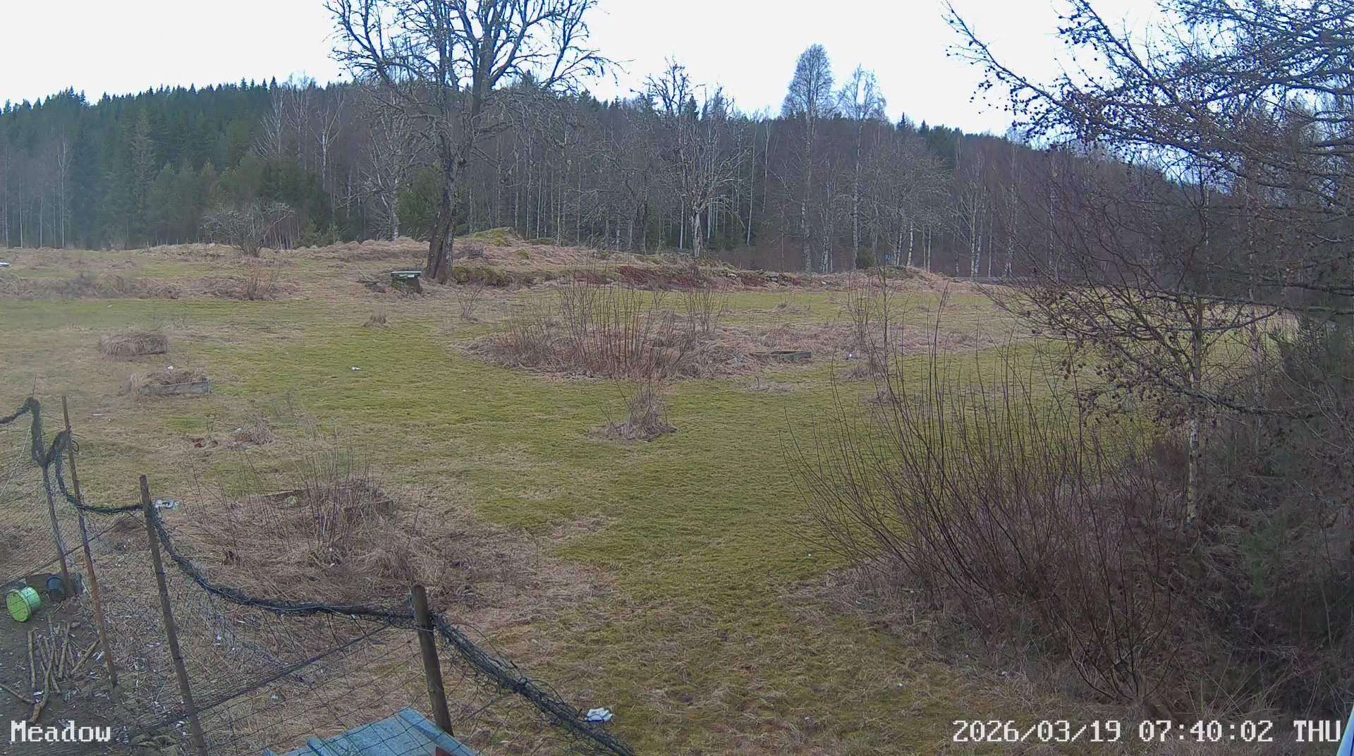 Webcam Barlingshult, Årjäng, Värmland, Schweden