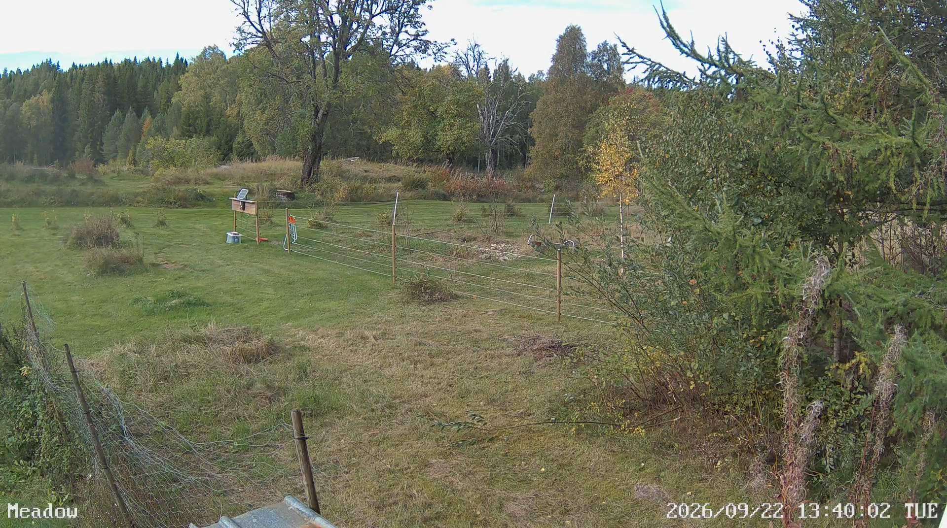 Webcam Barlingshult, Årjäng, Värmland, Schweden