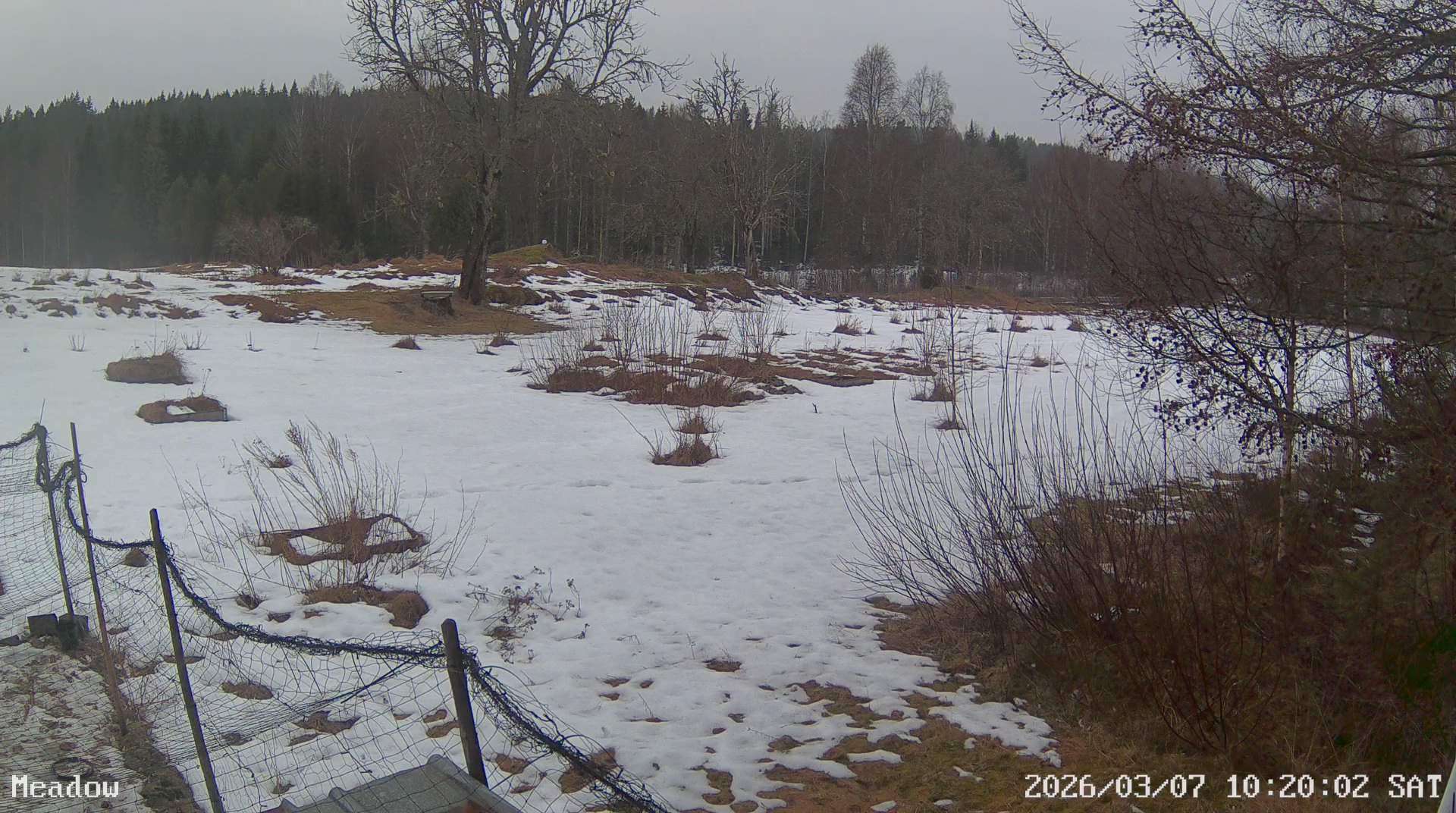 Webcam Barlingshult, Årjäng, Värmland, Schweden