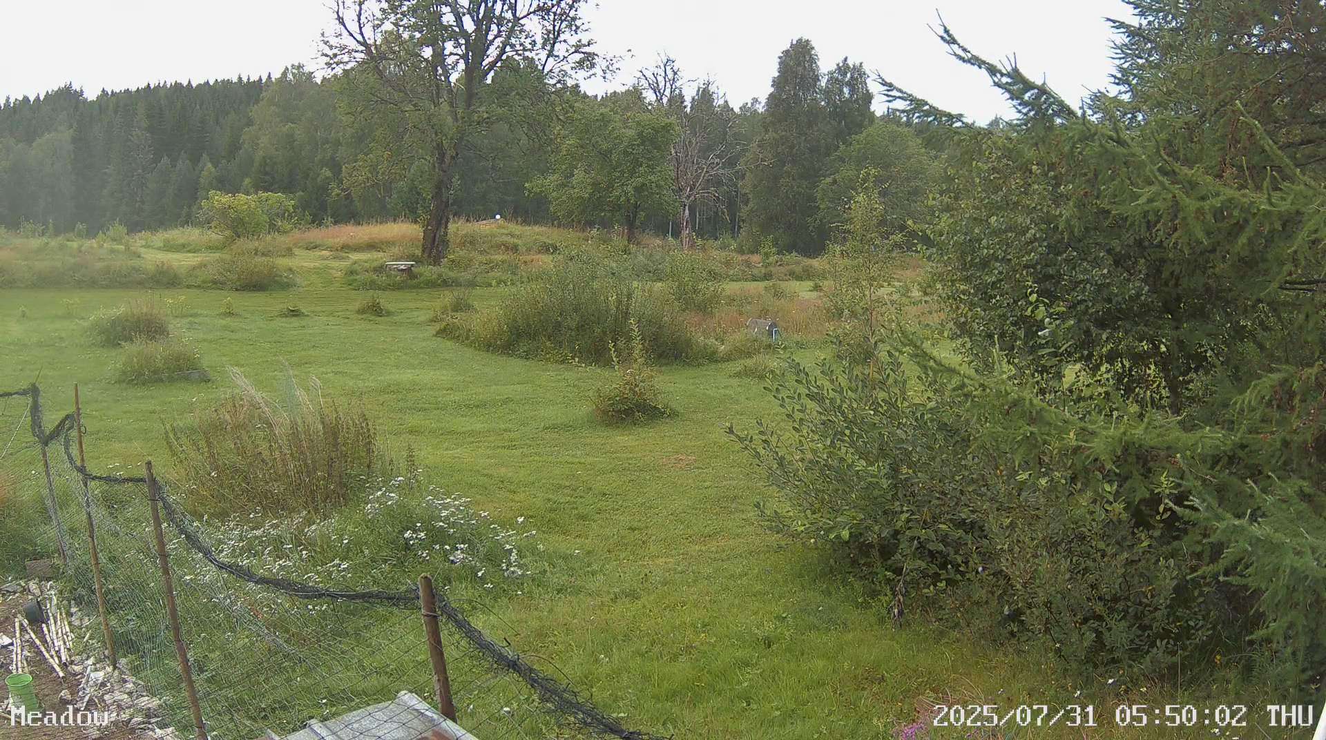 Webcam Barlingshult, Årjäng, Värmland, Schweden