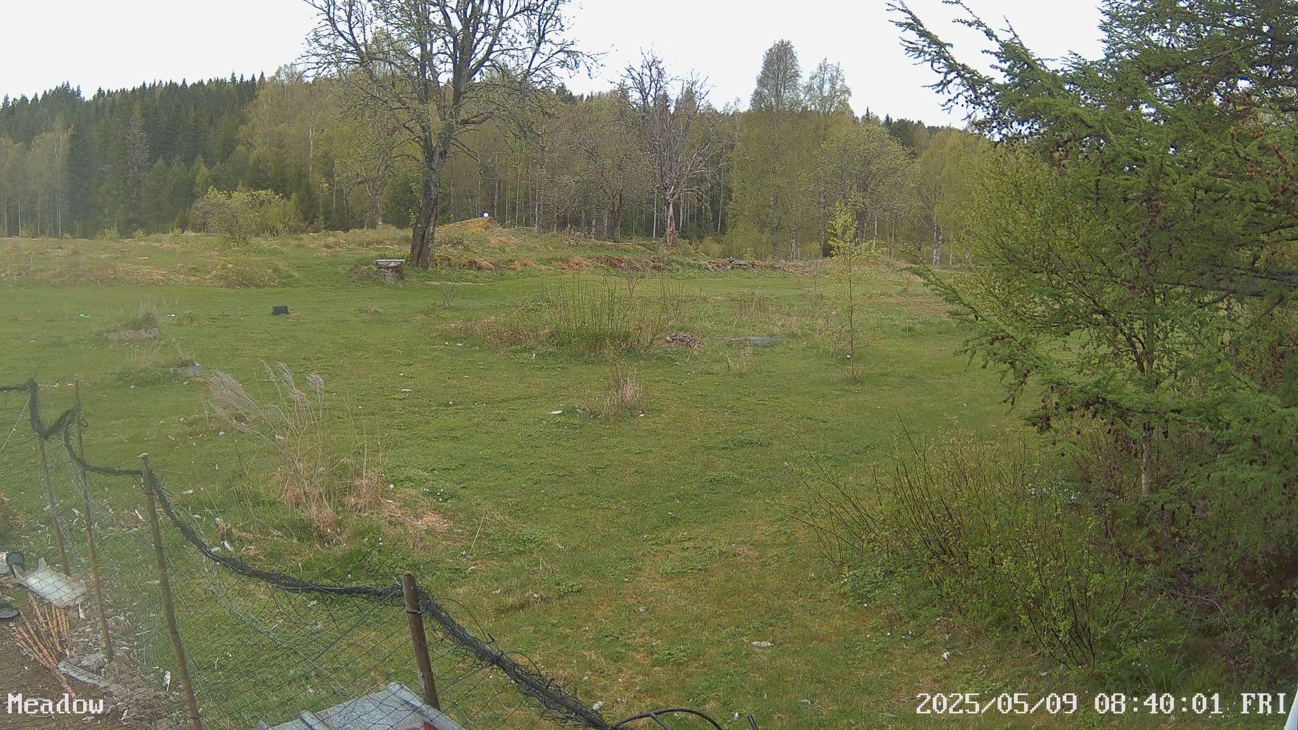 Webcam Barlingshult, Årjäng, Värmland, Schweden