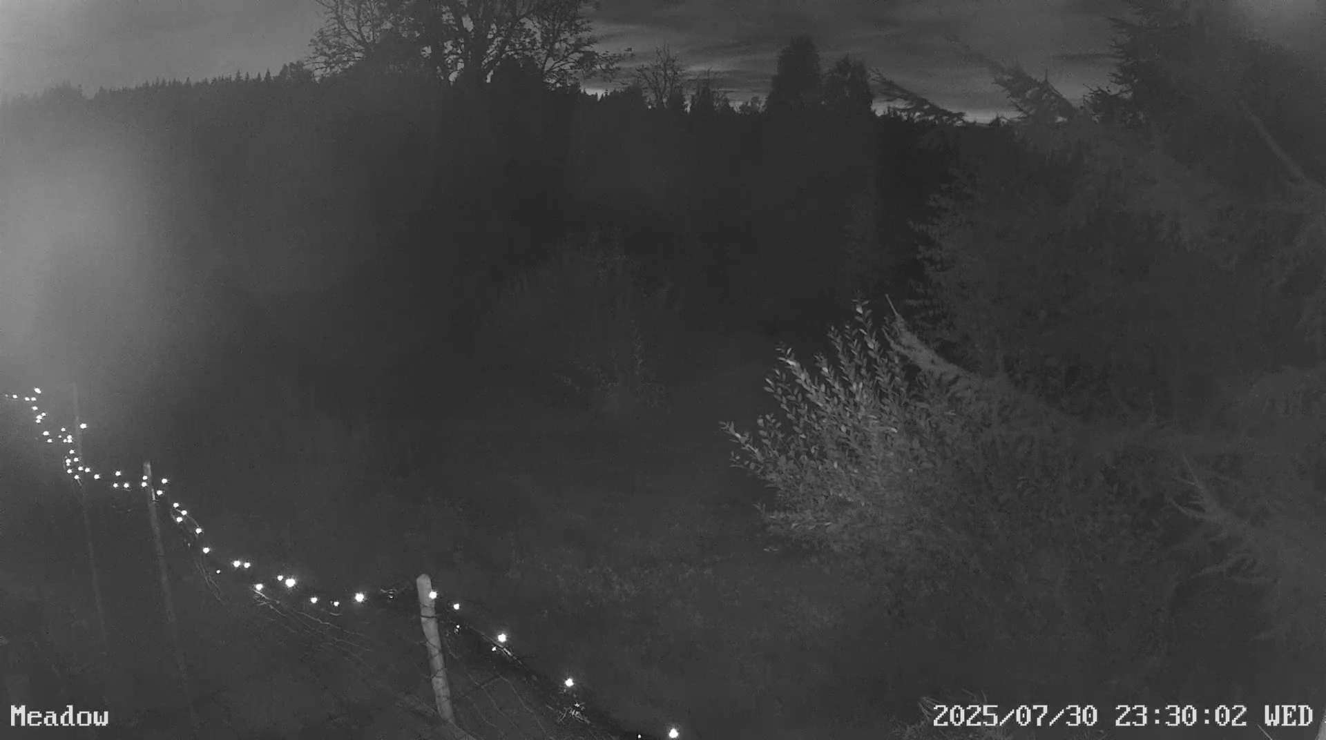 Webcam Barlingshult, Årjäng, Värmland, Schweden
