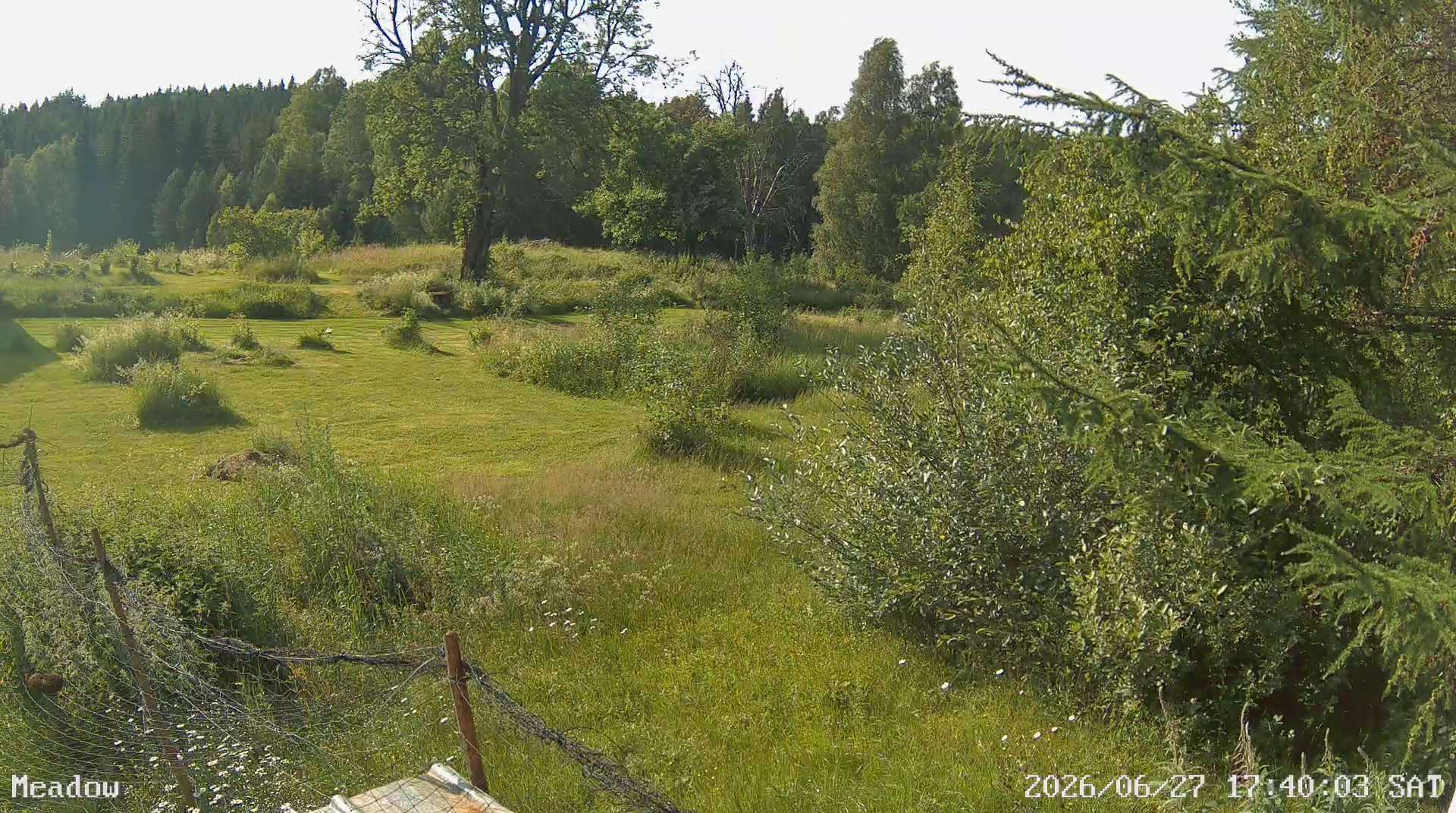 Webcam Barlingshult, Årjäng, Värmland, Schweden